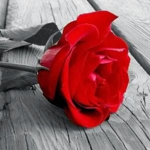 Meet your Posher, Carla